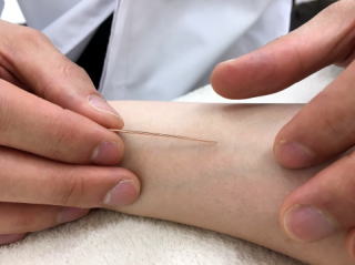 �h���Ȃ��I���g���Đ����Ă����܂�